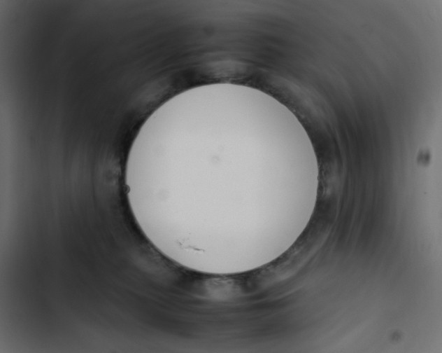 X0000103330279200809261208