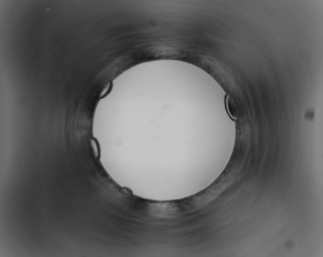 X0000103330281200809261208