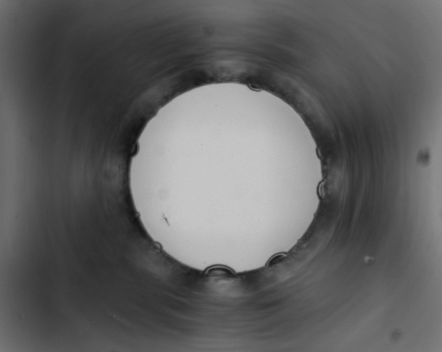 X0000103330283200809261208