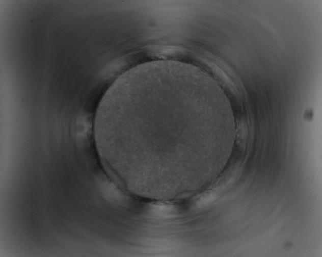 X0000103330284200809261208