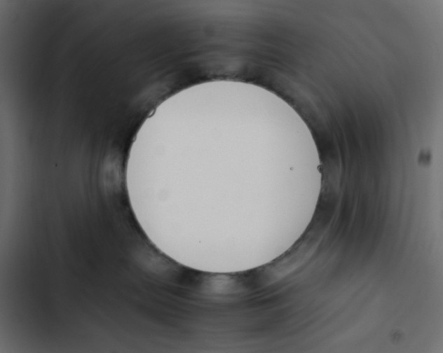 X0000103330287200809261208