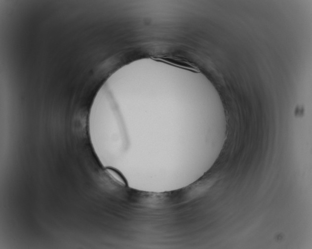 X0000103330288200809261208