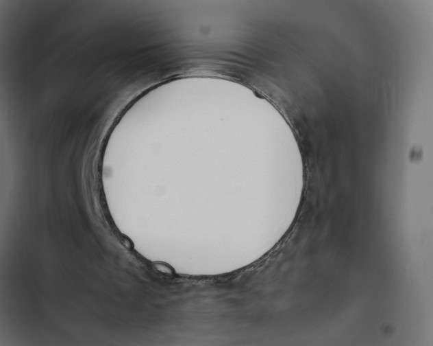 X0000103330289200809261207