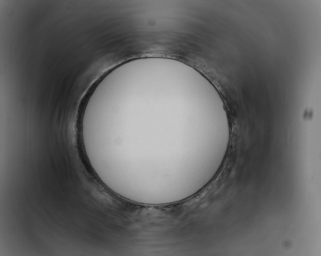 X0000103330290200809261207