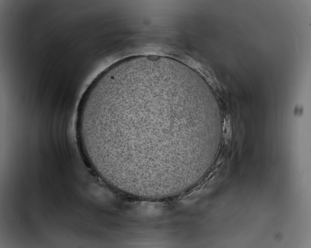 X0000103330292200809261207