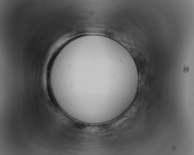 X0000103330294200809261207