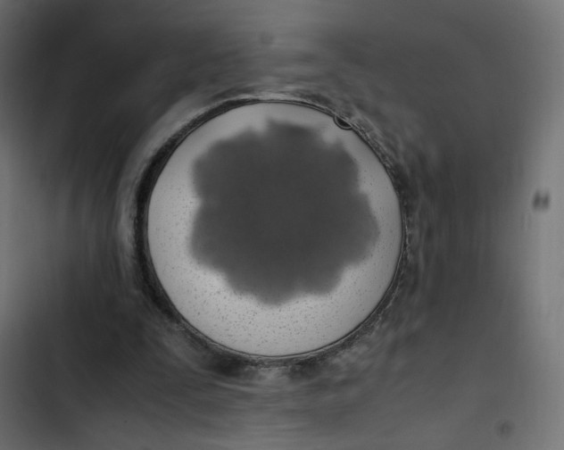 X0000103330295200809261207