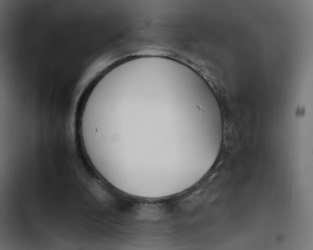 X0000103330296200809261207