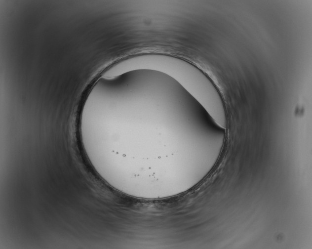 X0000103330297200809261207