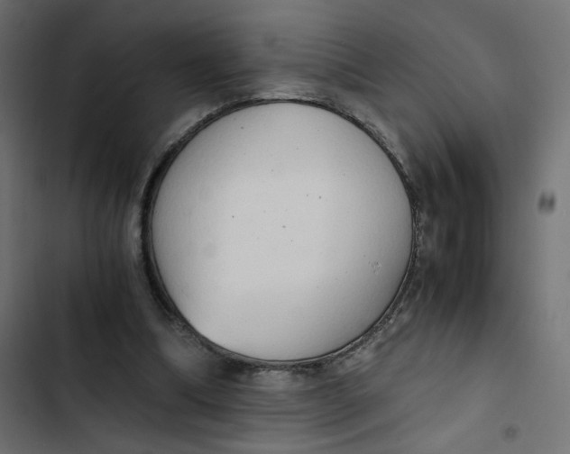 X0000103330298200809261207