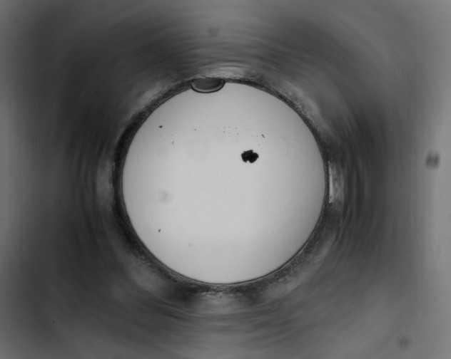 X0000103330300200809261207