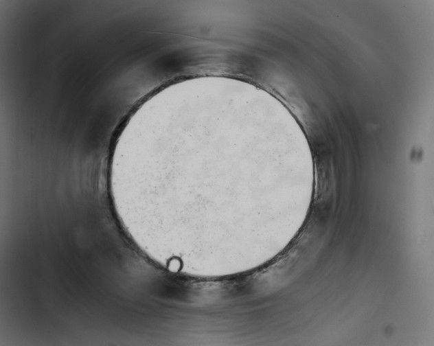 X0000103330301200809261207