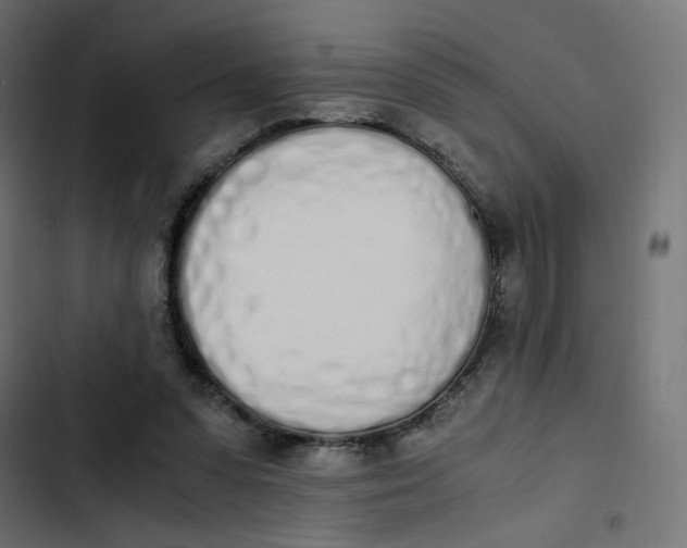 X0000103330303200809261207