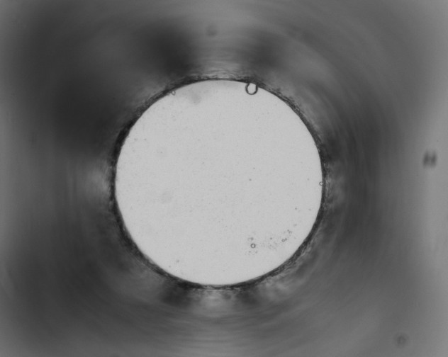 X0000103330305200809261207