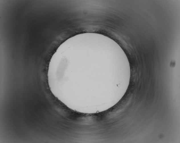 X0000103330307200809261207