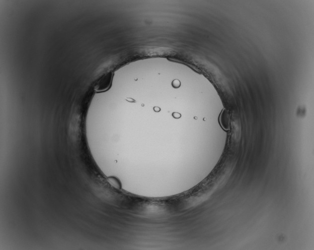 X0000103330308200809261207