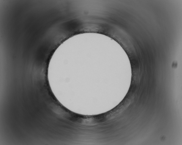 X0000103330309200809261207