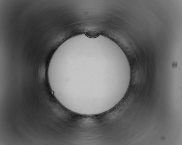 X0000103330310200809261207