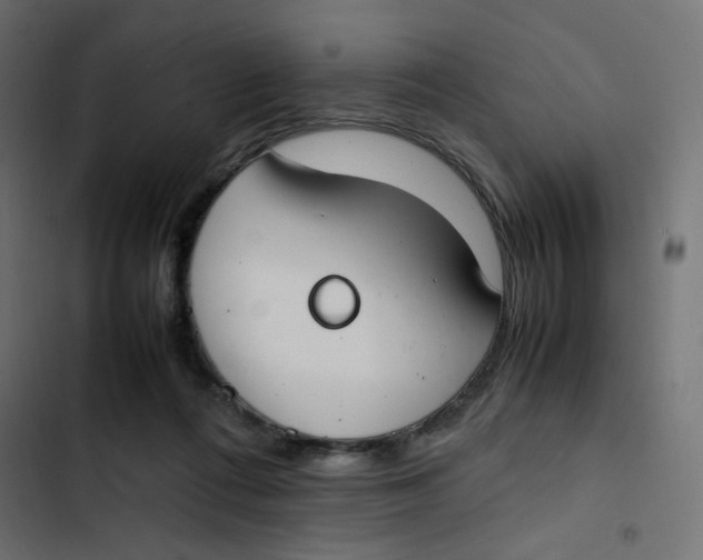 X0000103330312200809261207