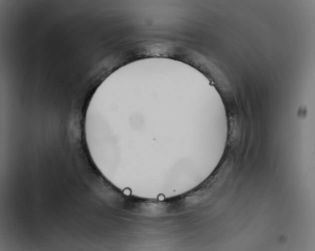 X0000103330313200809261207