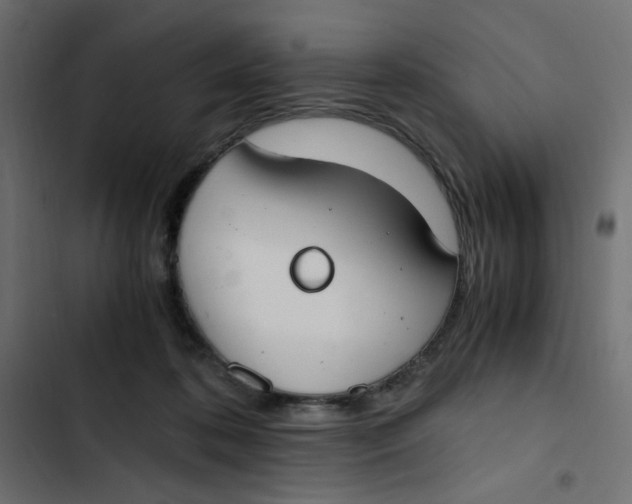 X0000103330316200809261207