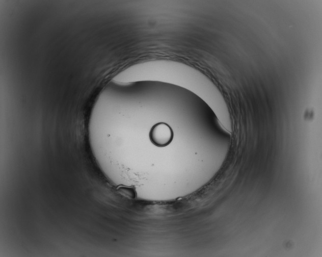 X0000103330320200809261207