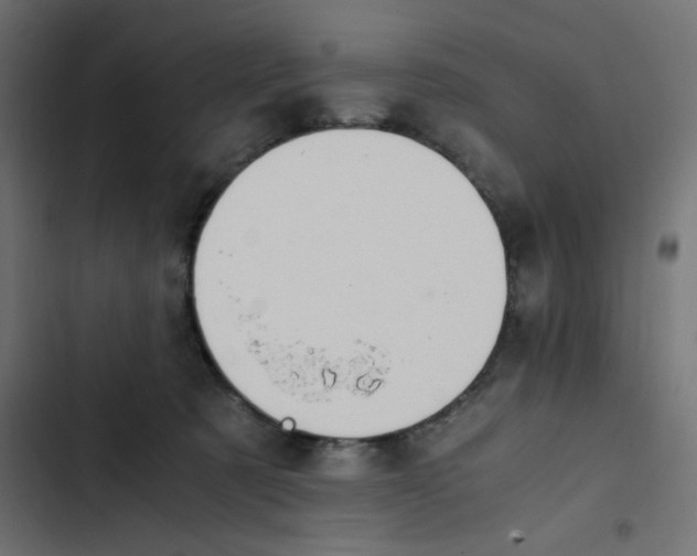 X0000103330321200809261207