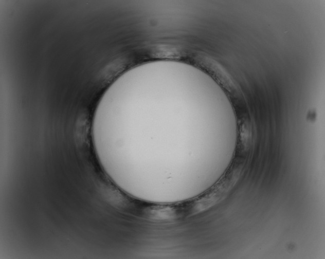 X0000103330322200809261207