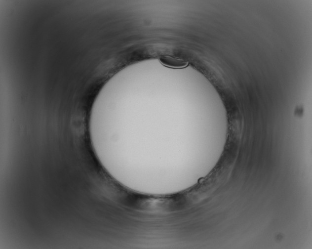 X0000103330323200809261207