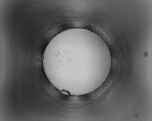 X0000103330325200809261207