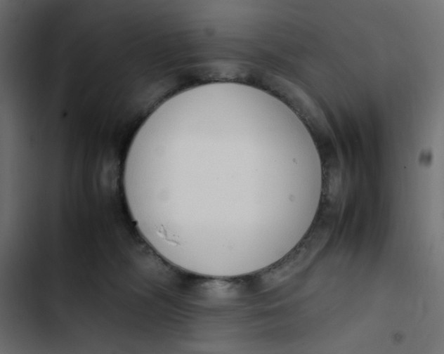 X0000103330326200809261207