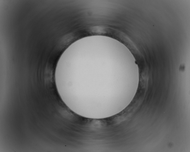 X0000103330330200809261207