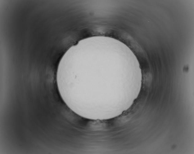 X0000103330331200809261207