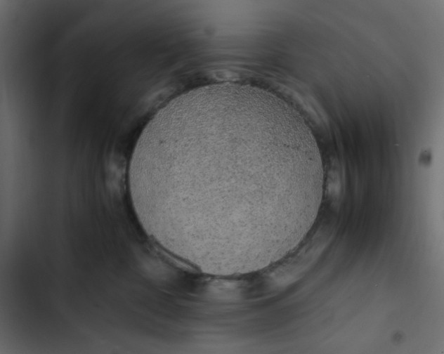 X0000103330332200809261207