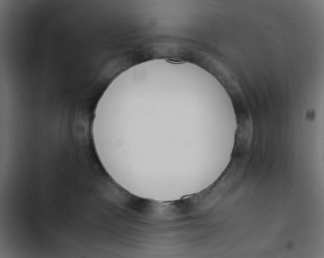 X0000103330333200809261207