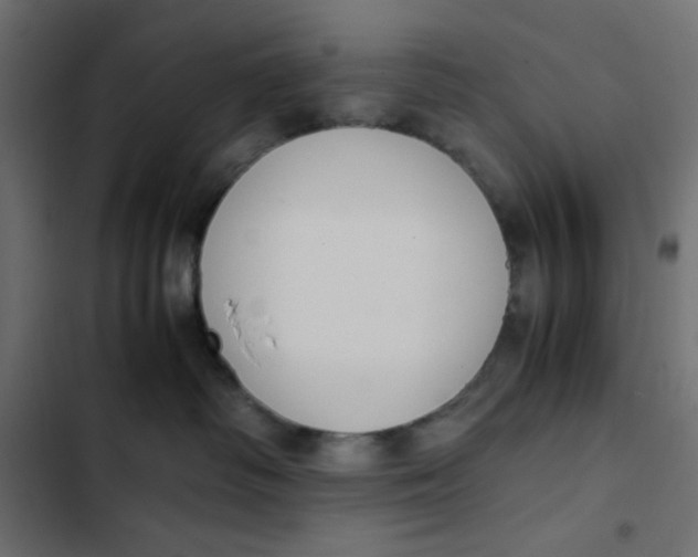 X0000103330334200809261207