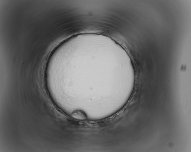 X0000103330337200809261206