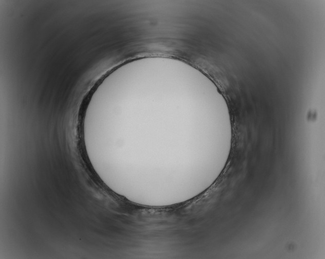 X0000103330338200809261206