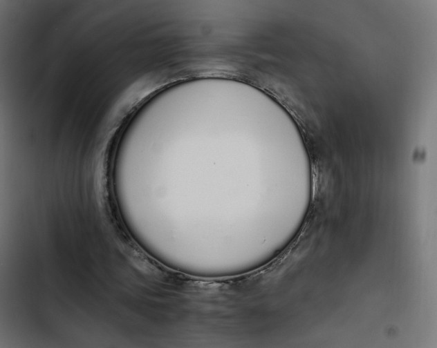 X0000103330339200809261206