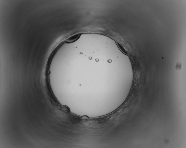 X0000103330340200809261206