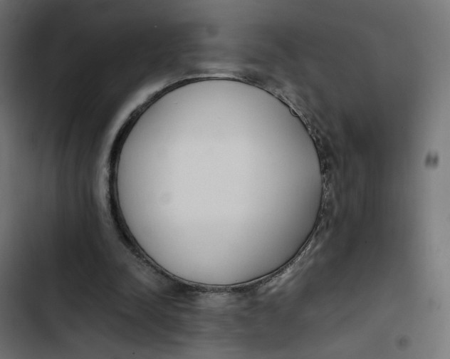 X0000103330342200809261206