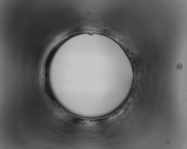 X0000103330343200809261206