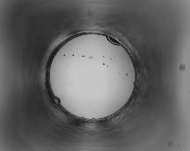 X0000103330344200809261206