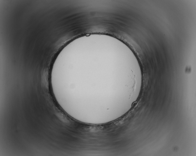 X0000103330345200809261206