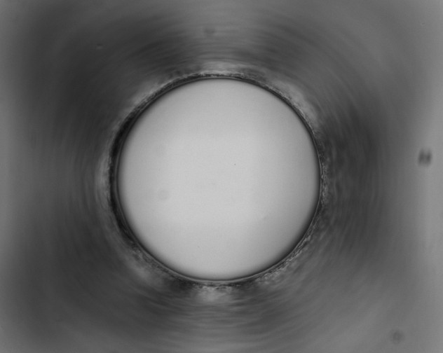 X0000103330346200809261206