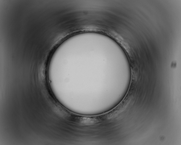 X0000103330347200809261206