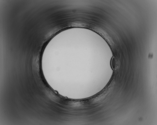 X0000103330349200809261206