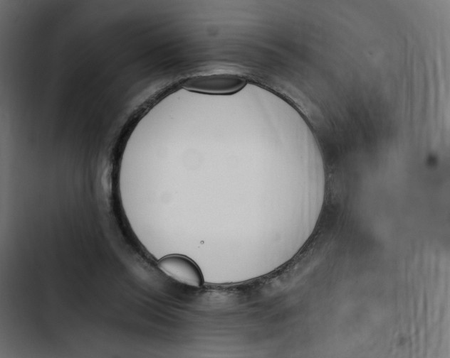 X0000103330350200809261206