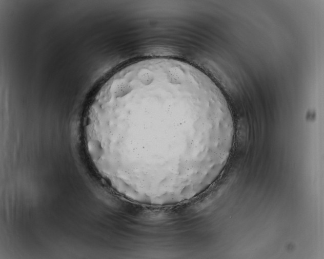 X0000103330351200809261206