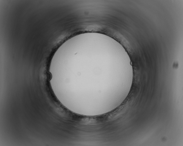 X0000103330354200809261206